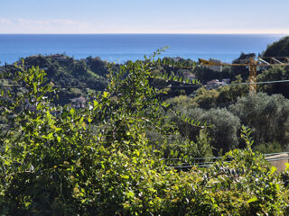  Appartement � vendre 2 pi�ces 42 m�