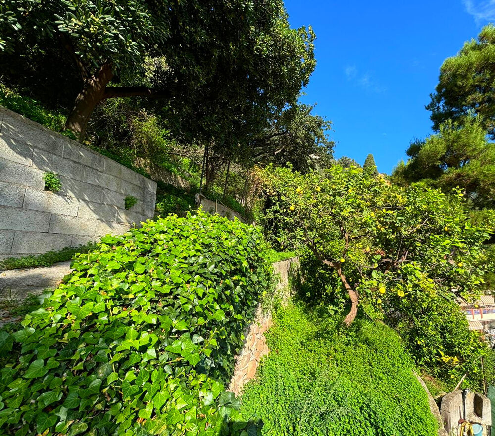  vendre  Maison Menton (06500)