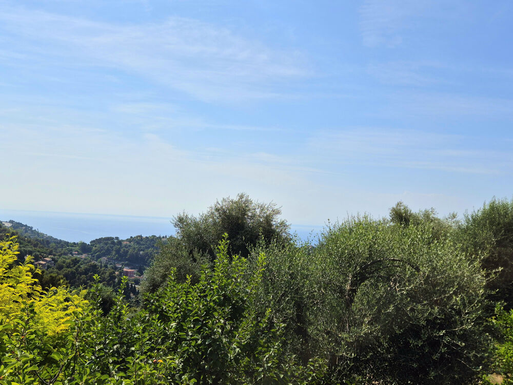à vendre  Maison Menton (06500)