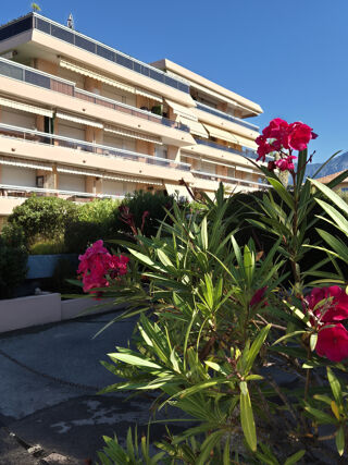  Appartement � vendre 2 pi�ces 37 m�