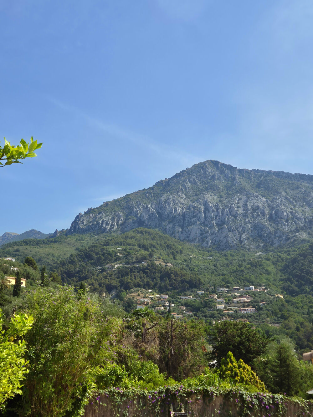à vendre  Maison Menton (06500)