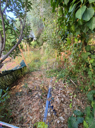  Appartement � vendre 2 pi�ces 42 m�