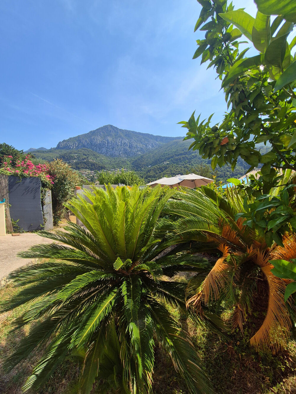 à vendre  Maison Menton (06500)
