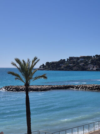  Appartement � vendre 2 pi�ces 42 m�