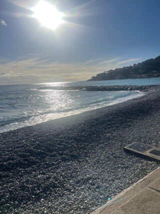  Appartement � vendre 2 pi�ces 37 m�