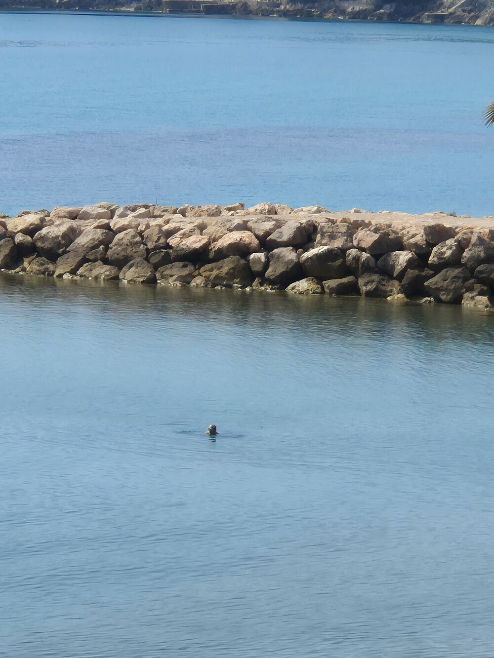 roquebrune cap martin, 2 pièces front de, mer terrasse+de 12 m2, cave