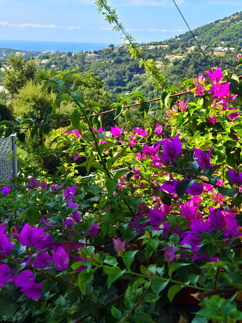 Vente Appartement Menton annonciade, 4 pièces en appartement - villa de 127 m2 et 88 m2 de terrasse et 1000 m2 de terrain Menton