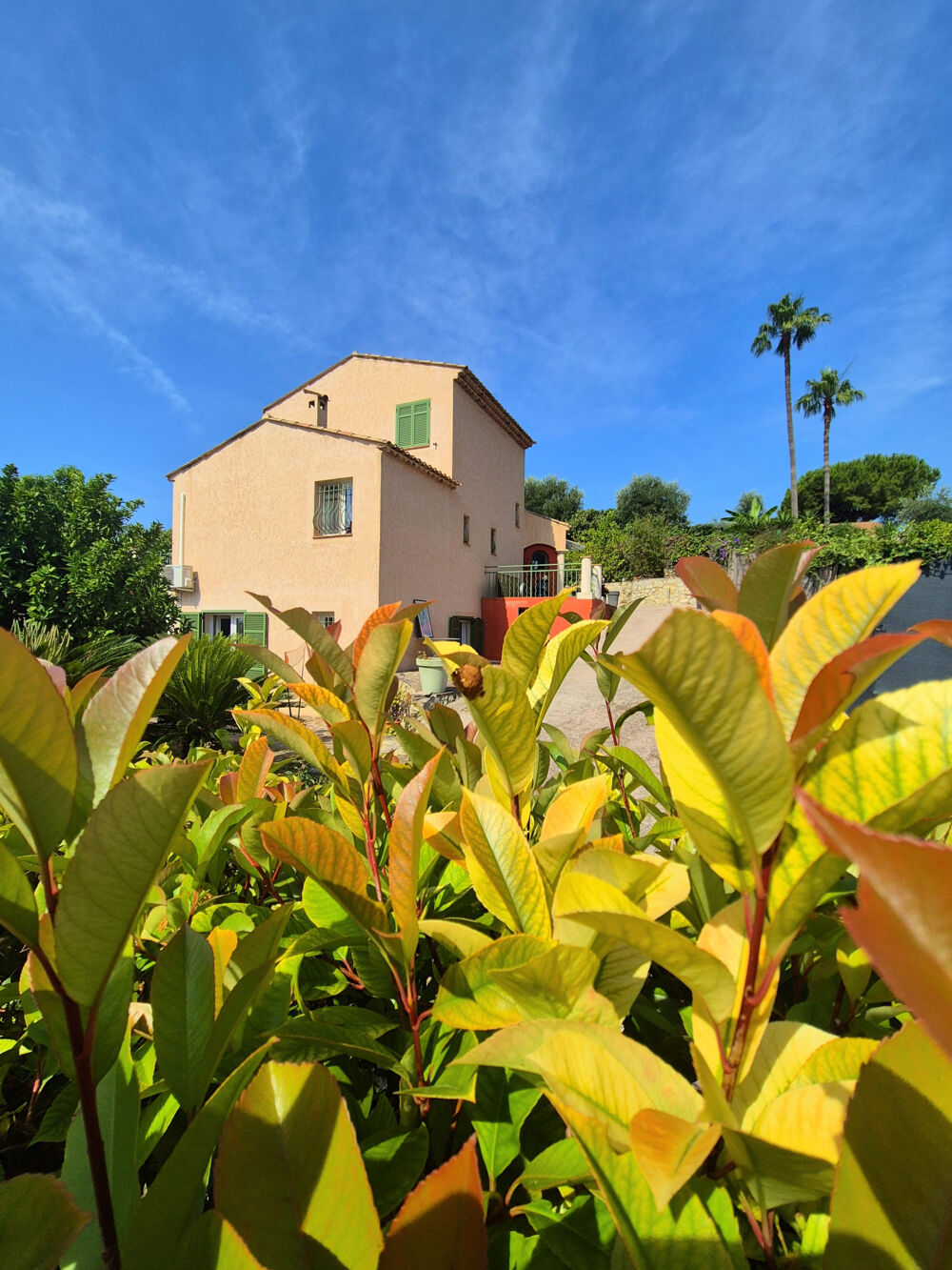 à vendre  Maison Menton (06500)
