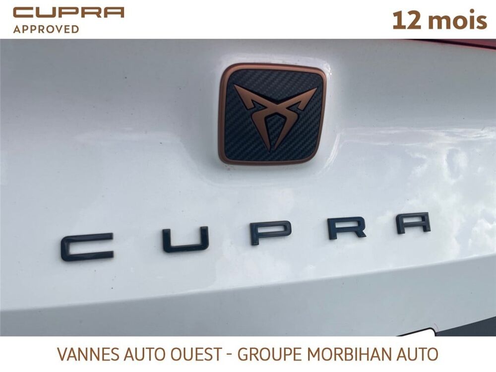 Formentor FORMENTOR 1.5 TSI 150 CH DSG7 Business Edition 2023 occasion 56880 Ploeren