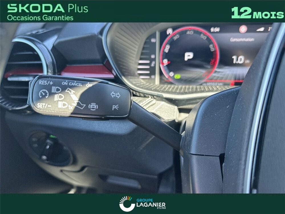 Fabia FABIA 1.5 TSI 150 CH EVO 2 DSG7 Monte-Carlo 2024 occasion 30100 Al&egrave;s
