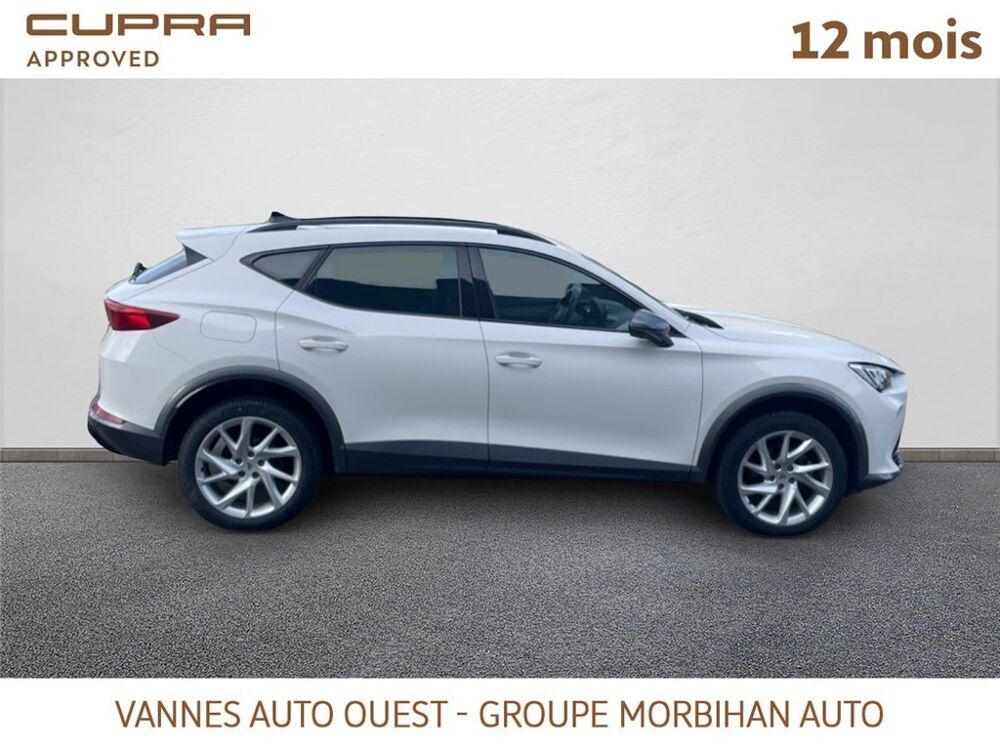 Formentor FORMENTOR 2.0 TDI 150 CH V 2024 occasion 56880 Ploeren