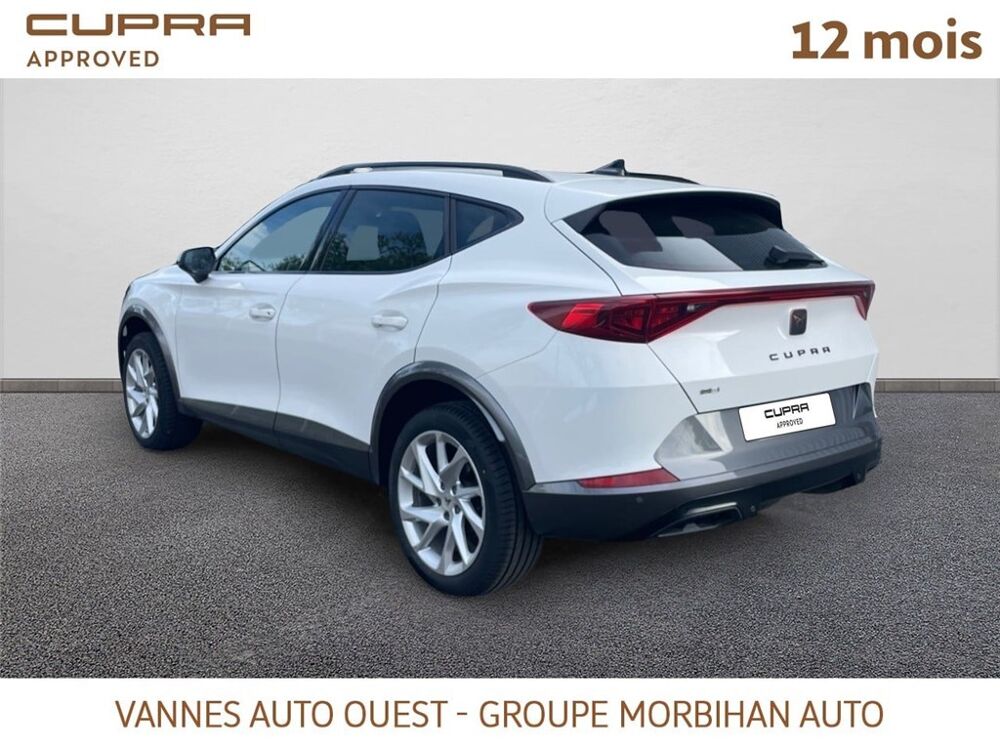 Formentor FORMENTOR 2.0 TDI 150 CH V 2024 occasion 56880 Ploeren