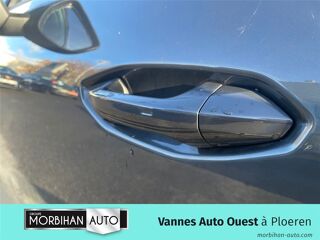 Terramar TERRAMAR 1.5 EHYBRID 204 CH DSG6 V 2025 occasion 56880 Ploeren