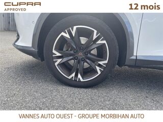 Formentor FORMENTOR 1.5 TSI 150 CH DSG7 Business Edition 2023 occasion 56880 Ploeren