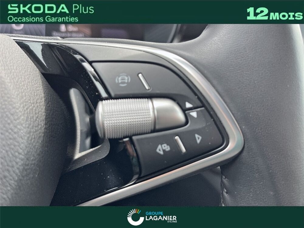 Fabia FABIA 1.0 TSI 116 CH EVO 2 DSG7 Selection 2025 occasion 30100 Al&egrave;s