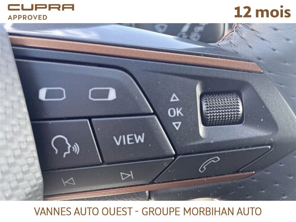 Formentor FORMENTOR 2.0 TDI 150 CH V 2024 occasion 56880 Ploeren