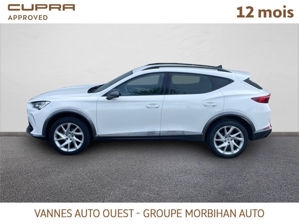 Formentor FORMENTOR 2.0 TDI 150 CH V 2024 occasion 56880 Ploeren
