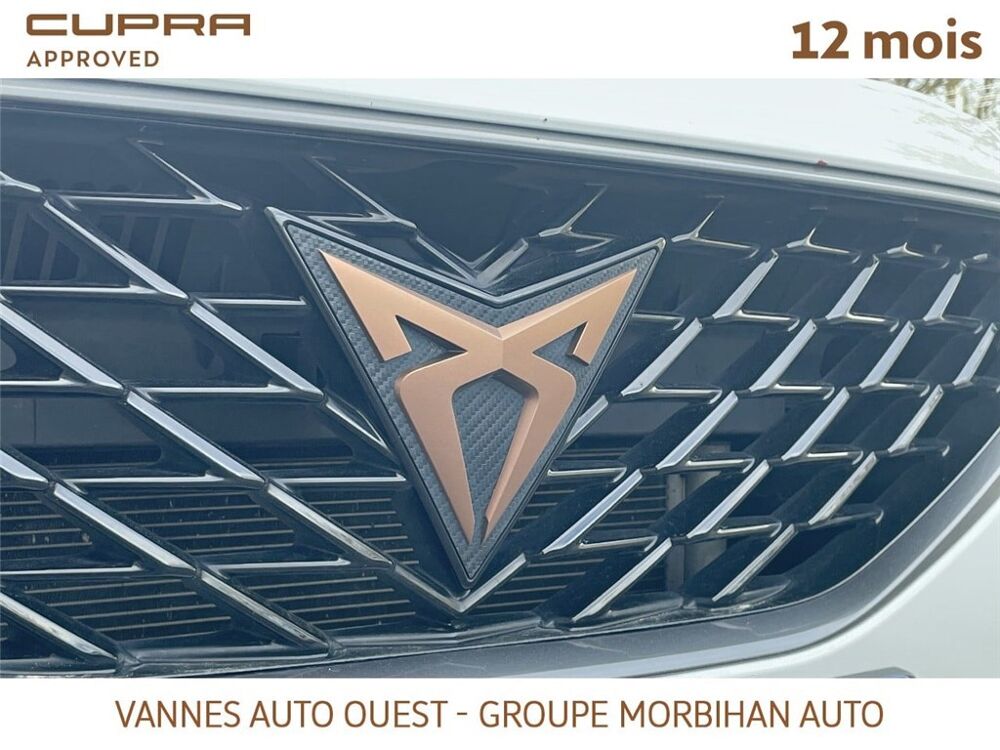 Formentor FORMENTOR 2.0 TDI 150 CH V 2024 occasion 56880 Ploeren