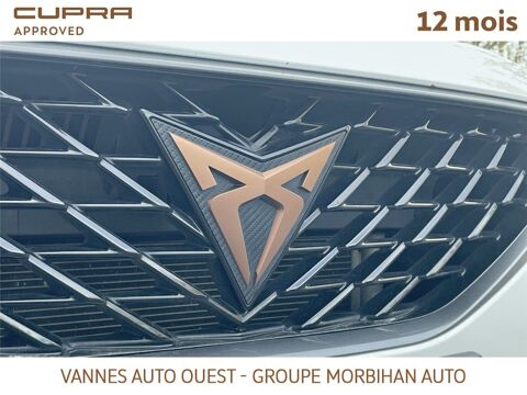 Formentor FORMENTOR 2.0 TDI 150 CH V 2024 occasion 56880 Ploeren