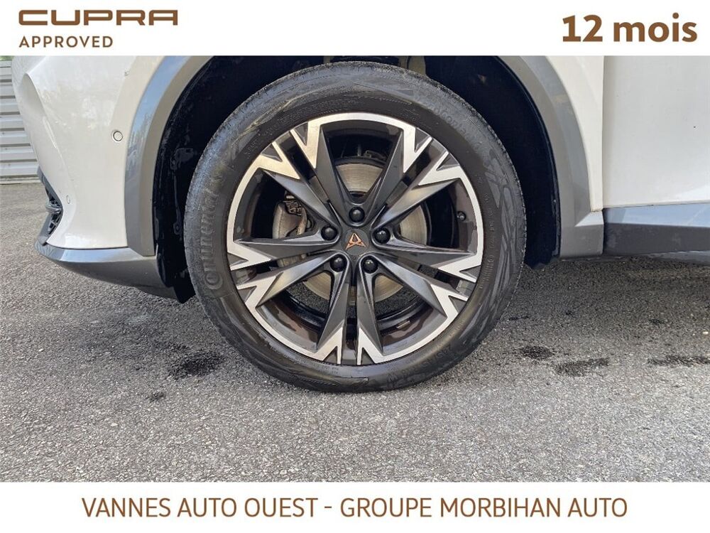 Formentor FORMENTOR 1.4 E-HYBRID 204 CH DSG6 Business Edition 2024 occasion 56880 Ploeren