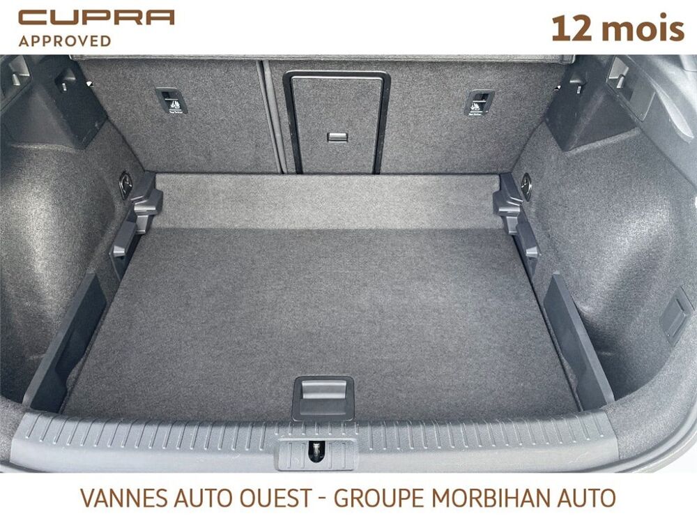 Formentor FORMENTOR 2.0 TDI 150 CH V 2024 occasion 56880 Ploeren