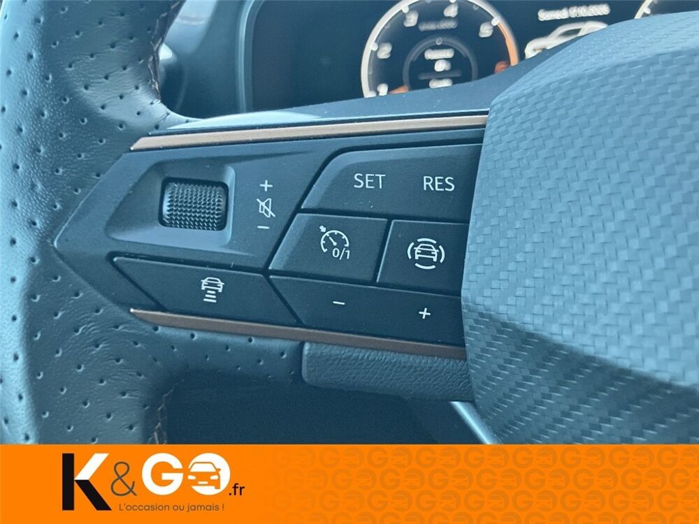 Formentor FORMENTOR 2.0 TDI 150 CH V 2024 occasion 56880 Ploeren