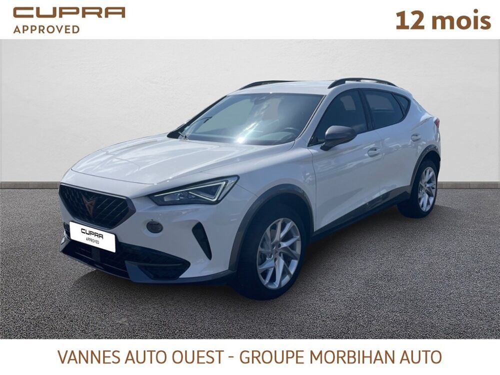 Formentor FORMENTOR 2.0 TDI 150 CH V 2024 occasion 56880 Ploeren