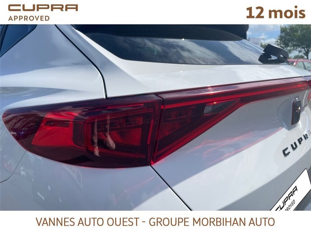 Formentor FORMENTOR 2.0 TDI 150 CH V 2024 occasion 56880 Ploeren