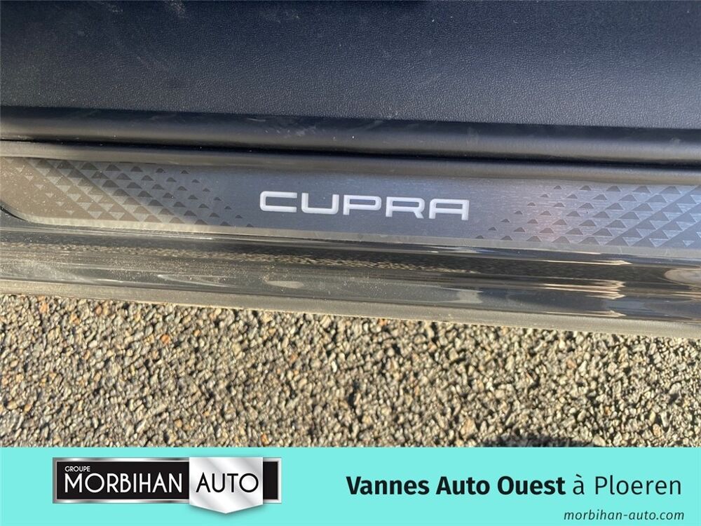 Terramar TERRAMAR 1.5 EHYBRID 204 CH DSG6 V 2025 occasion 56880 Ploeren