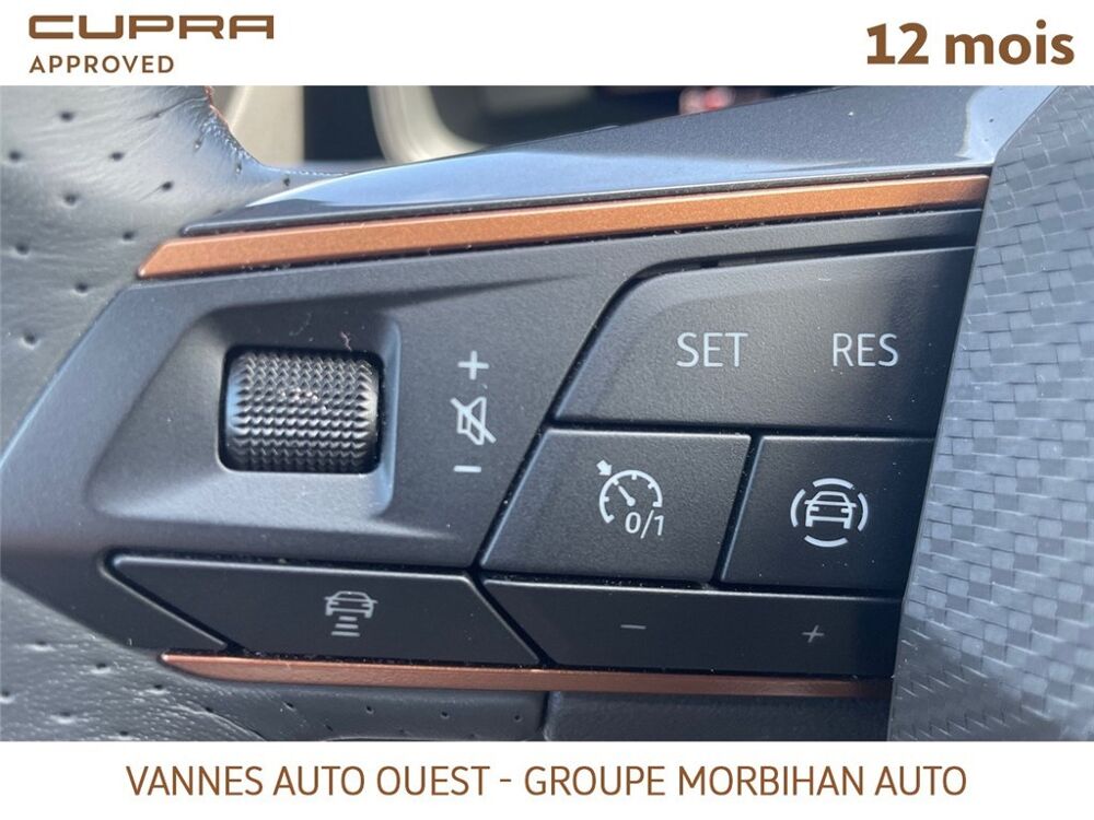 Formentor FORMENTOR 2.0 TDI 150 CH V 2024 occasion 56880 Ploeren