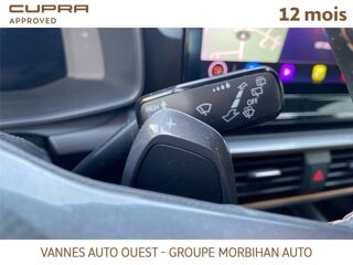 Formentor FORMENTOR 1.4 E-HYBRID 204 CH DSG6 Business Edition 2024 occasion 56880 Ploeren