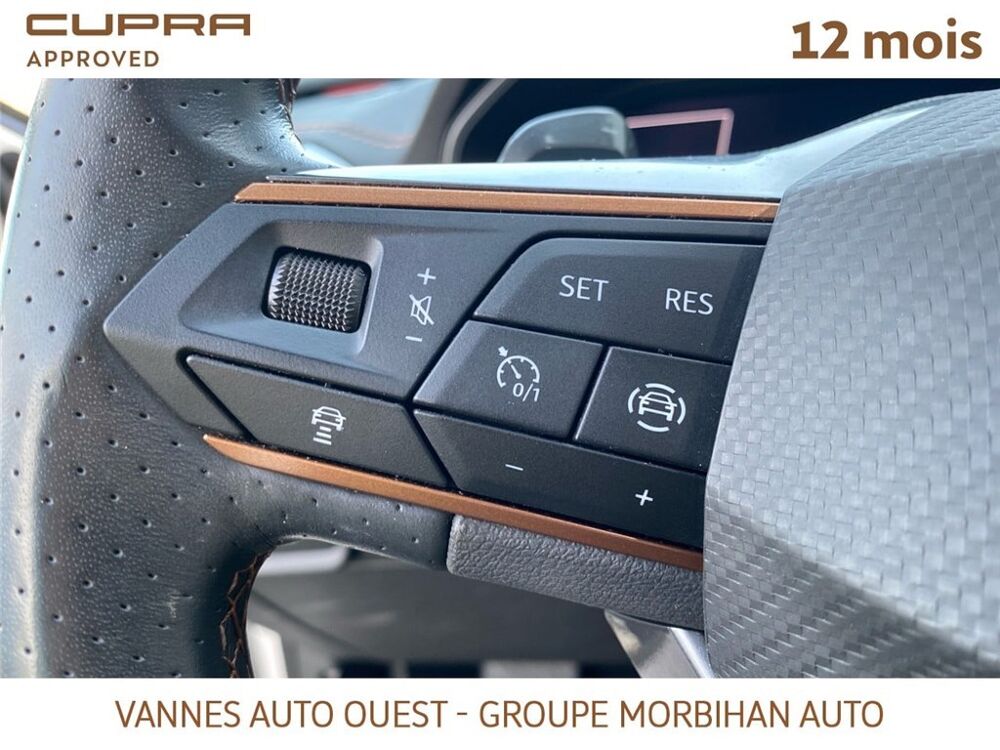 Formentor FORMENTOR 1.4 E-HYBRID 204 CH DSG6 Business Edition 2024 occasion 56880 Ploeren