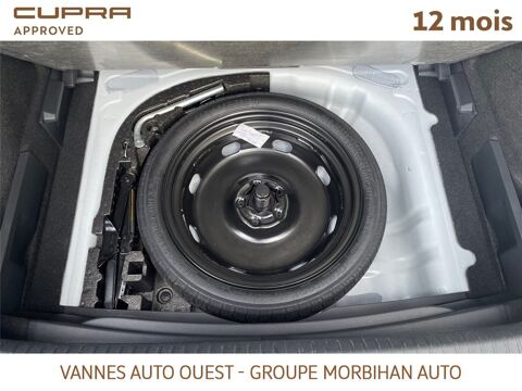 Formentor FORMENTOR 2.0 TDI 150 CH V 2024 occasion 56880 Ploeren
