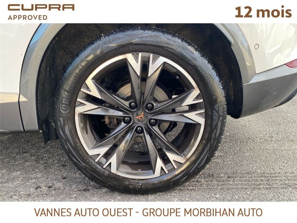 Formentor FORMENTOR 1.4 E-HYBRID 204 CH DSG6 Business Edition 2024 occasion 56880 Ploeren
