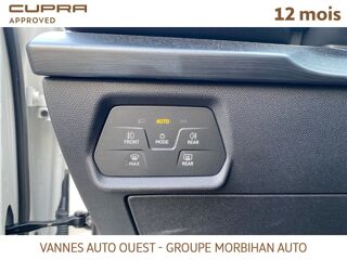 Formentor FORMENTOR 1.4 E-HYBRID 204 CH DSG6 Business Edition 2024 occasion 56880 Ploeren