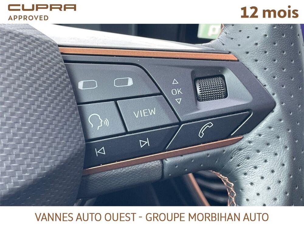 Formentor FORMENTOR 2.0 TDI 150 CH V 2024 occasion 56880 Ploeren