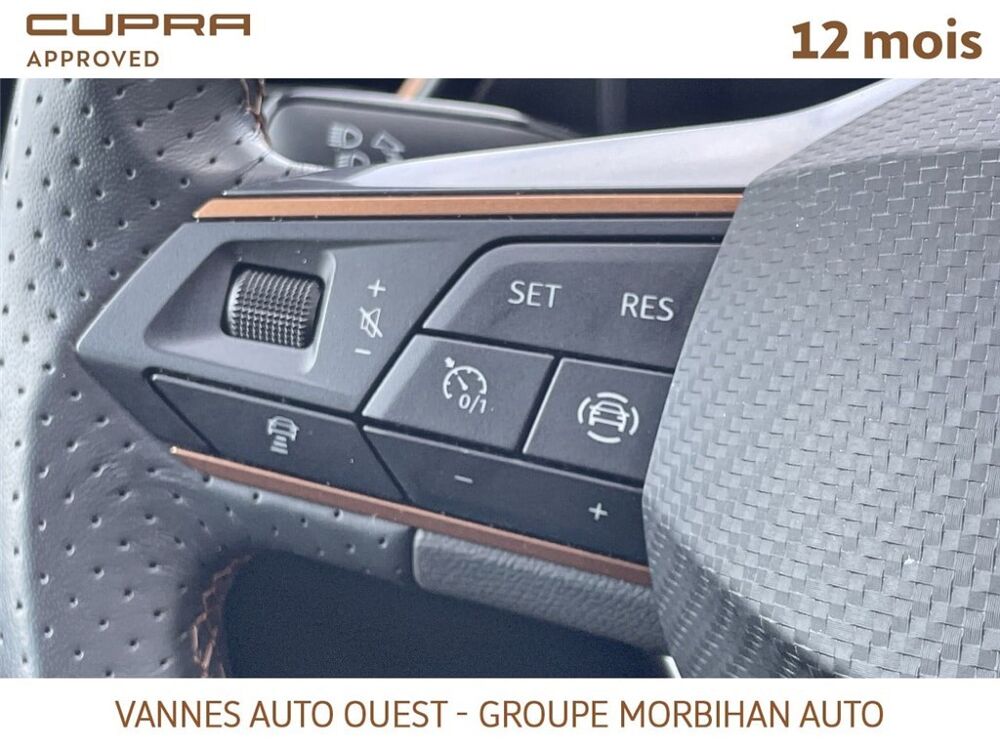 Formentor FORMENTOR 2.0 TDI 150 CH V 2024 occasion 56880 Ploeren