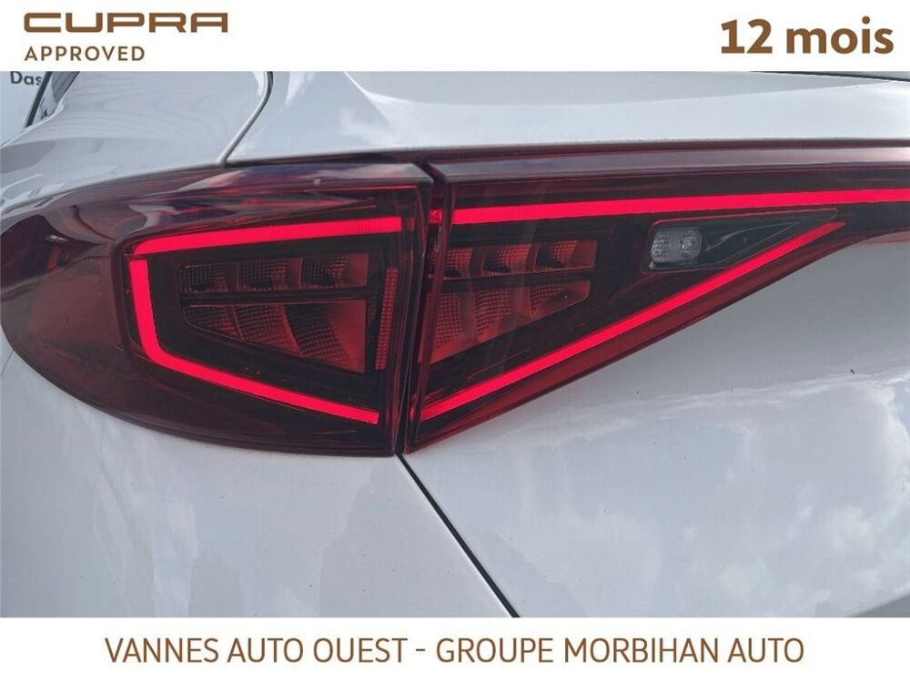 Formentor FORMENTOR 1.5 TSI 150 CH DSG7 Business Edition 2023 occasion 56880 Ploeren
