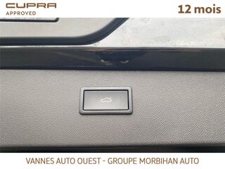 Formentor FORMENTOR EHYBRID 272 CH DSG6 VZ 2024 occasion 56880 Ploeren