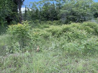  Terrain  vendre 1958 m