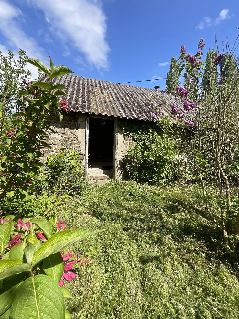 Vente Maison Maison Saint pierre de plesguen