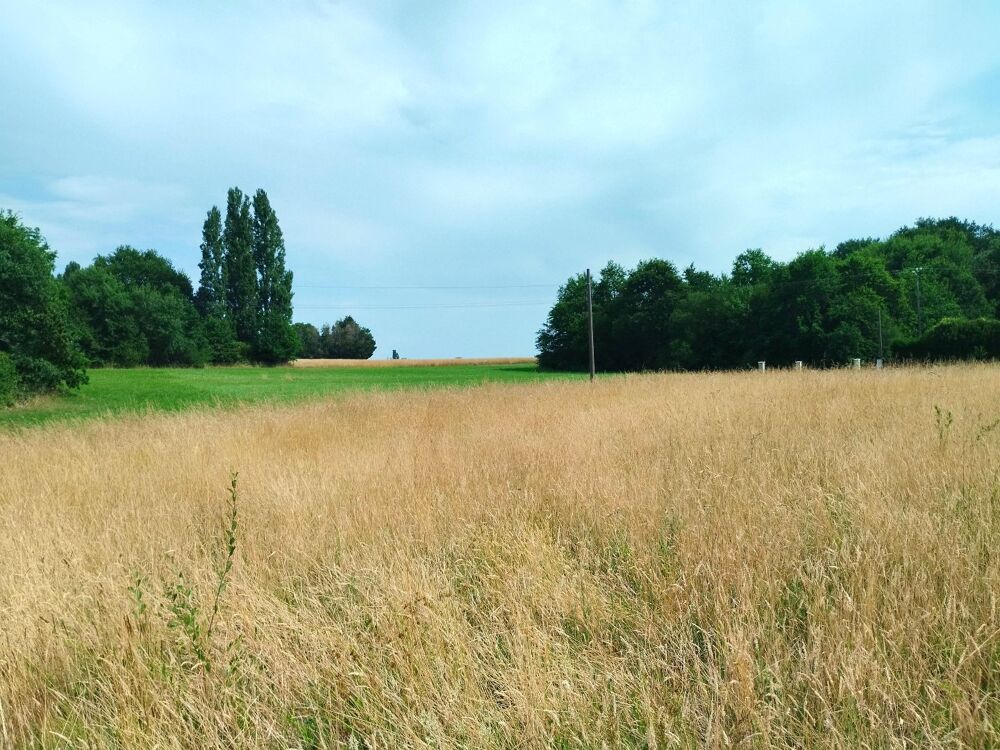 Vente Terrain Terrain Merignac