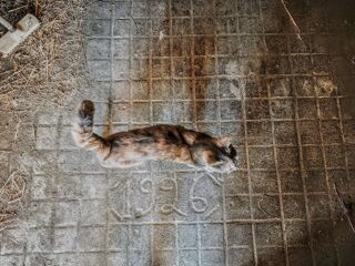  Maison � vendre 5 pi�ces 165 m�