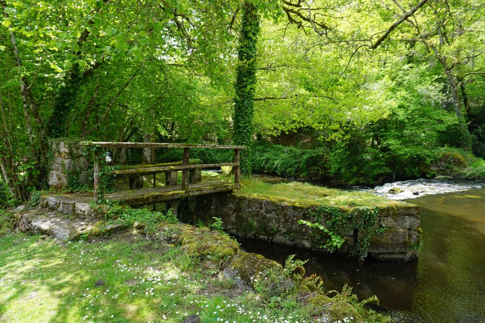  vendre  Villa Savignac-de-Nontron (24300)