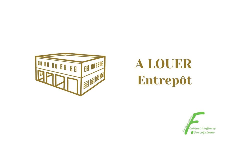   Locaux d'activité 