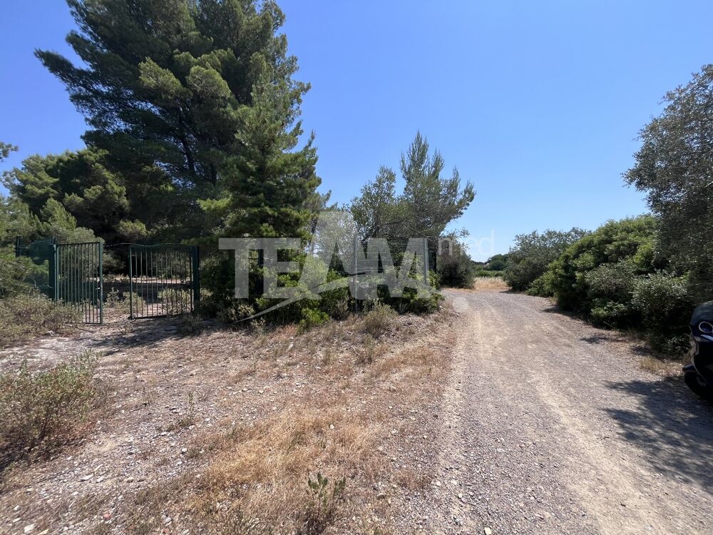 Vente Terrain Terrain de loisir Montbazin