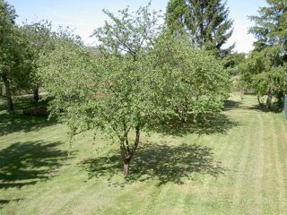  Terrain � vendre 1705 m�