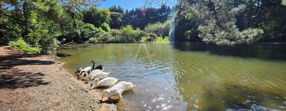  vendre  Villa Yffiniac (22120)