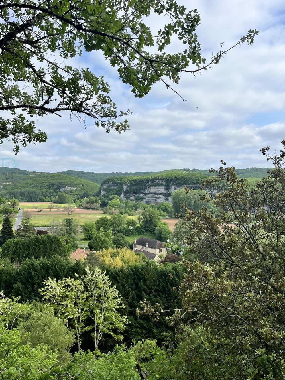 Vente Maison Demeure Saint leon sur vezere