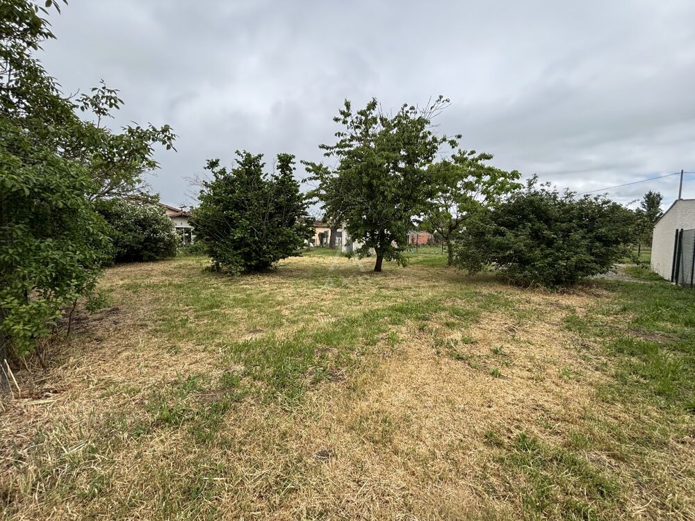 Vente Terrain Terrain constructible Saint-jory